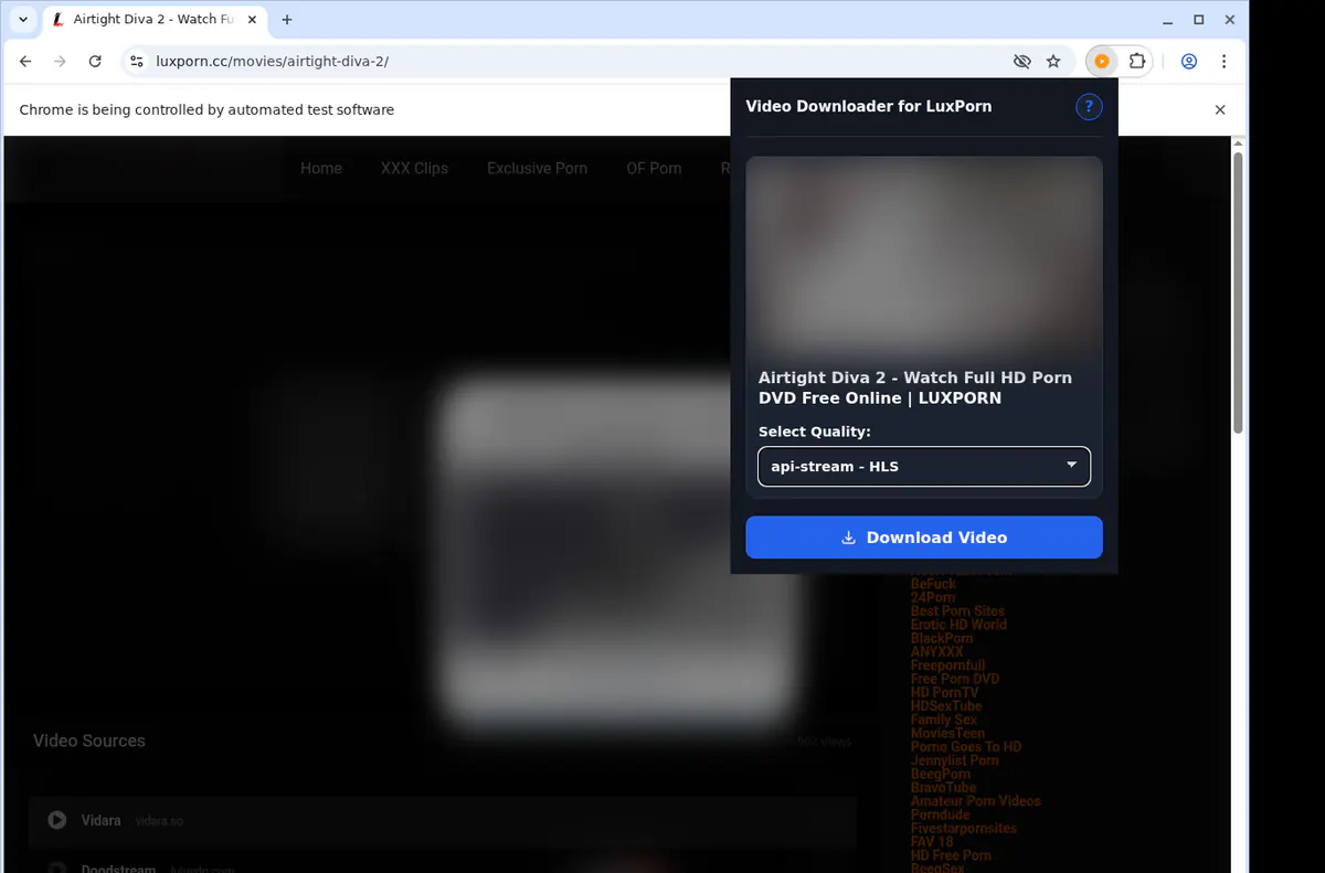 Luxporn Video Downloader screenshot 3